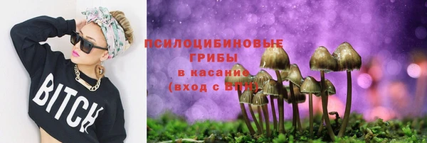 сатива Семикаракорск