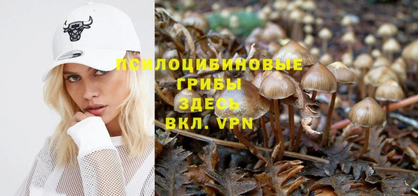 a pvp Алексин