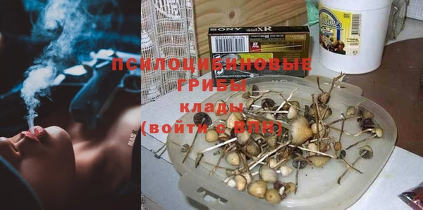 гидра Алексеевка